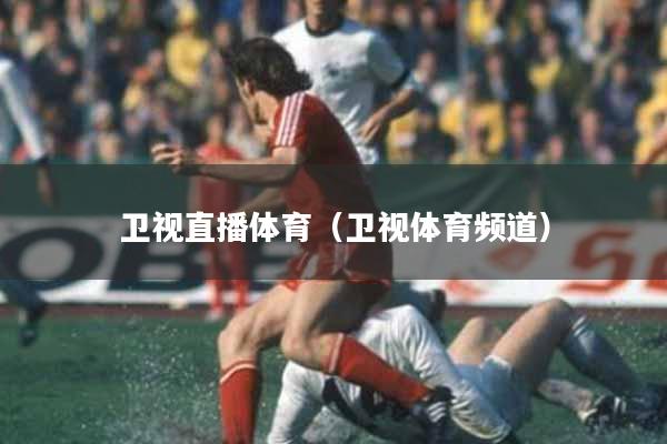 卫视直播体育（卫视体育频道）