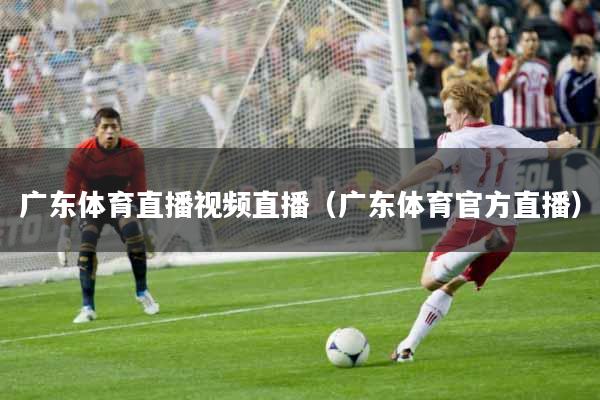 广东体育直播视频直播(广东体育官方直播)