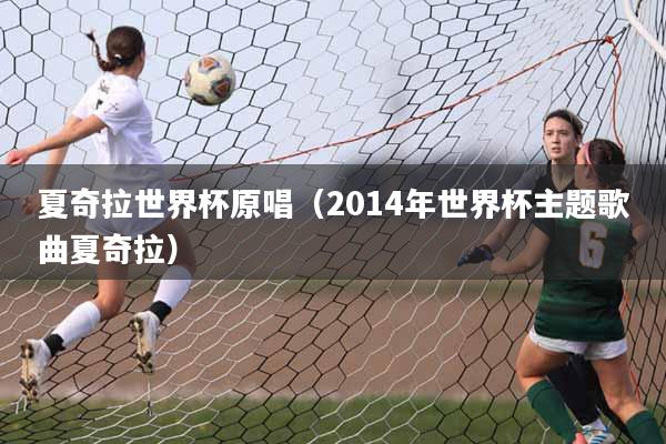 夏奇拉世界杯原唱（2014年世界杯主题歌曲夏奇拉）