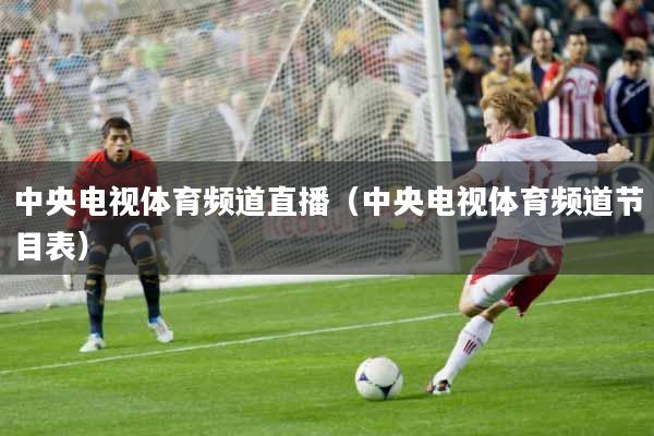 中央电视体育频道直播（中央电视体育频道节目表）