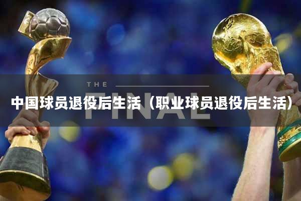 中国球员退役后生活（职业球员退役后生活）