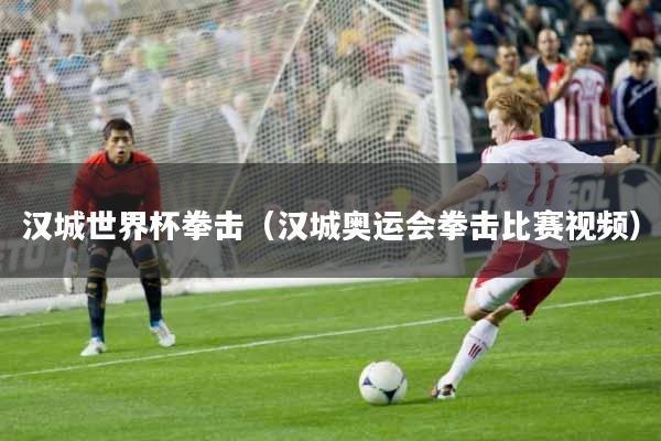汉城世界杯拳击（汉城奥运会拳击比赛视频）