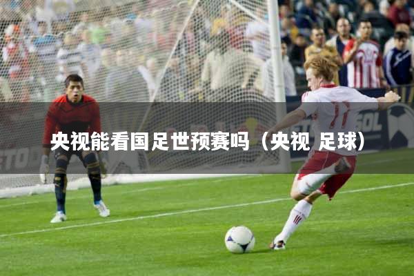 央视能看国足世预赛吗（央视 足球）