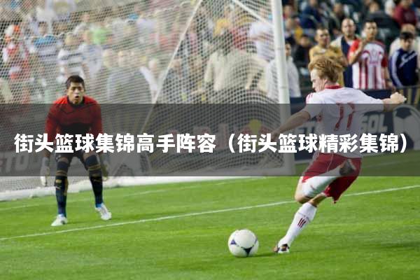 街头篮球集锦高手阵容（街头篮球精彩集锦）