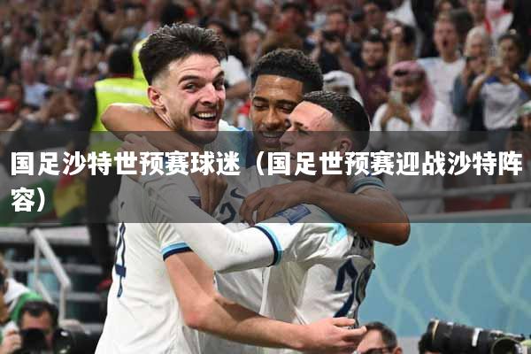 国足沙特世预赛球迷（国足世预赛迎战沙特阵容）