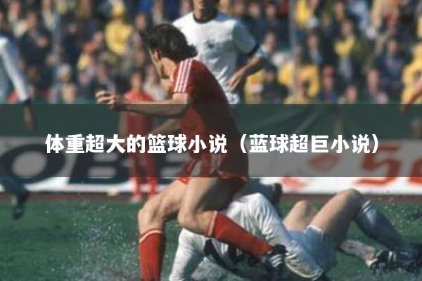 体重超大的篮球小说（蓝球超巨小说）